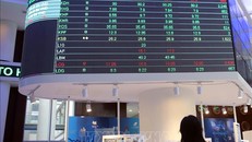 Nhà đầu tư theo dõi diễn biến thị trường chứng khoán. Ảnh tư liệu: Hứa Chung/TTXVN