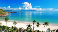 Khu vực nào được người nước ngoài chọn sinh sống ở Đà Nẵng?