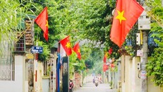 Ảnh minh họa.