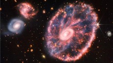 Hình ảnh thiên hà Cartwheel do kính thiên văn Webb chụp được. (Nguồn: NASA)