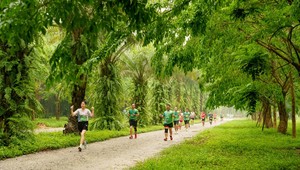 Chạy giữa miền xanh Ecopark