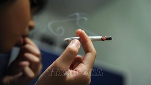 WHO báo động tình trạng sử dụng rượu và thuốc lá điện tử trong thiếu niên