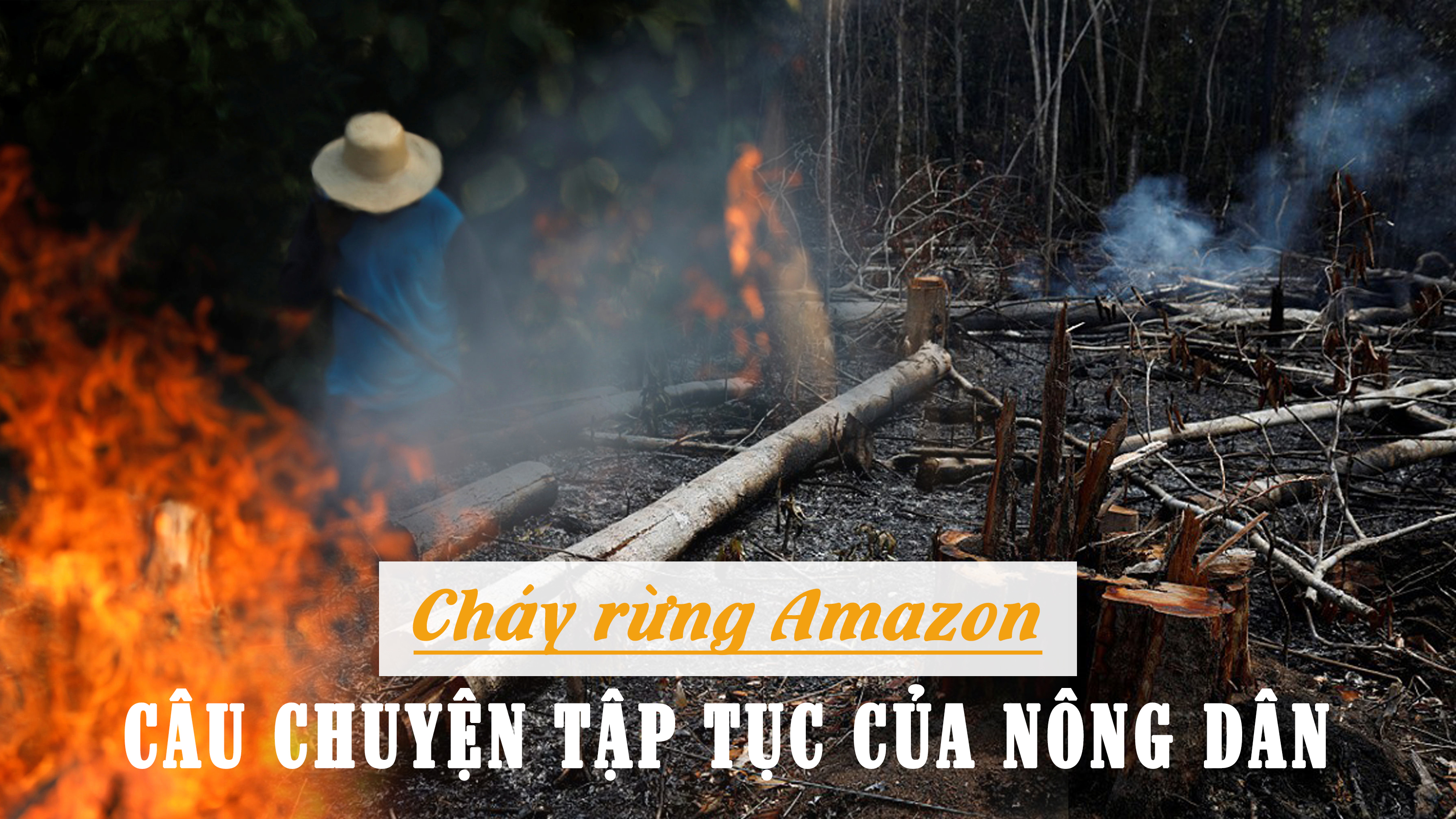 Cháy rừng Amazon và câu chuyện tập tục của nông dân