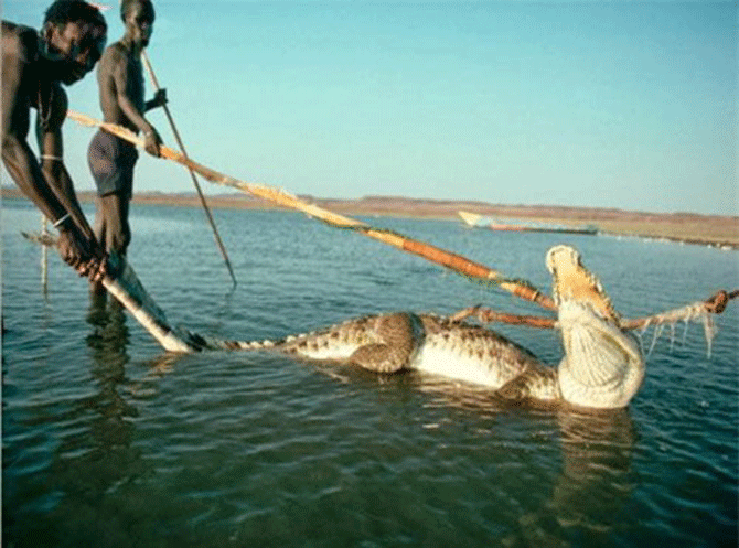 Bí ẩn bộ tộc chuyên bắt cá sấu, hà mã... để ăn
