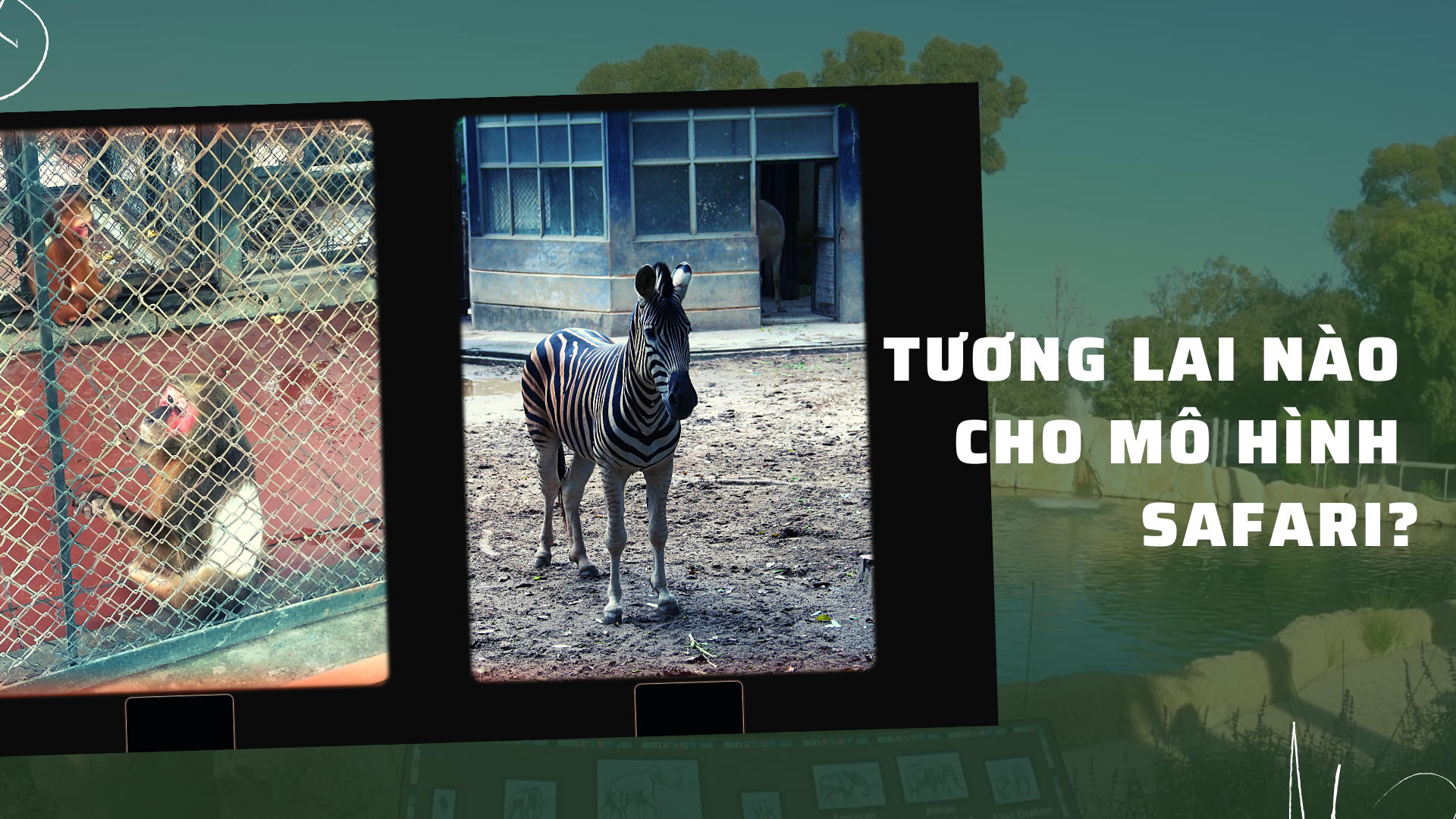 Vườn thú Hà Nội: Tương lai nào cho mô hình safari?