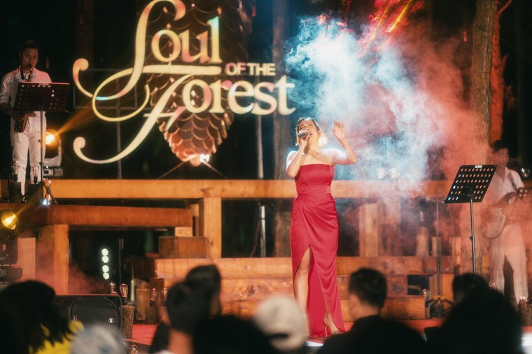 Đêm nhạc Soul of the Forest 'Dòng thời gian' để lại nhiều xúc cảm nơi khán giả ảnh 2