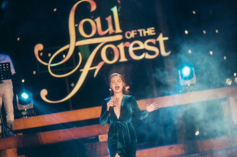Đêm nhạc Soul of the Forest 'Dòng thời gian' để lại nhiều xúc cảm nơi khán giả ảnh 3
