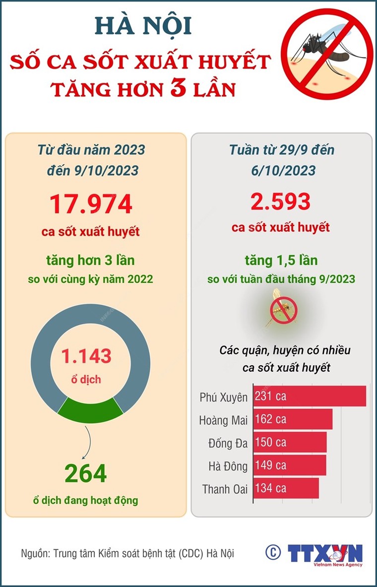 [Infographics] Số ca sốt xuất huyết tại Hà Nội tăng hơn 3 lần ảnh 1