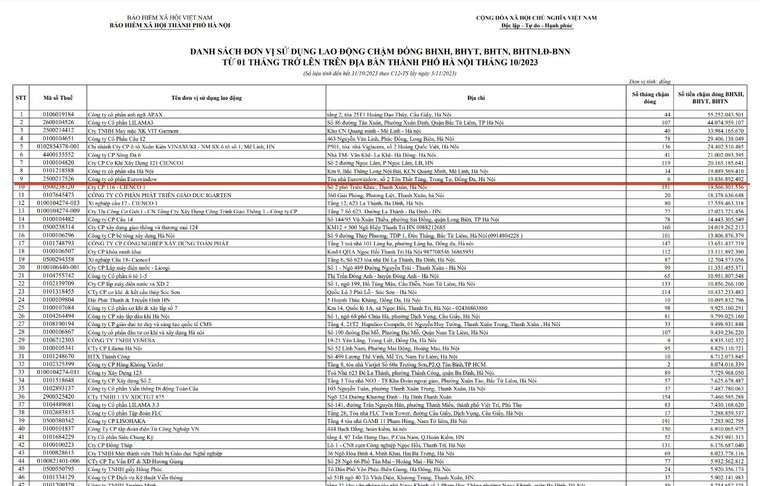 Đầu tư ngh&igrave;n tỷ v&agrave;o c&aacute;c c&ocirc;ng ty con, Eurowindow vẫn nợ Bảo hiểm x&atilde; hội ảnh 1