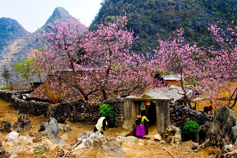 Lũng Cú có bao nhiêu thôn, bản?