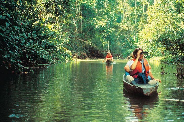 Sông Amazon đổ vào đại dương nào?