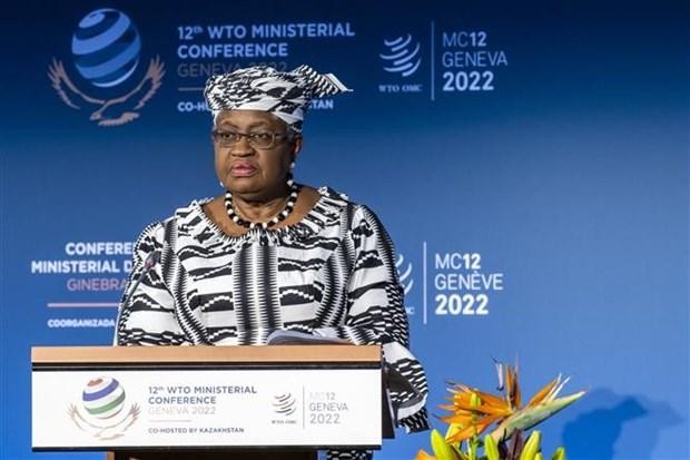 Tổng Giám đốc WTO Ngozi Okonjo-Iweala. (Ảnh: AFP)