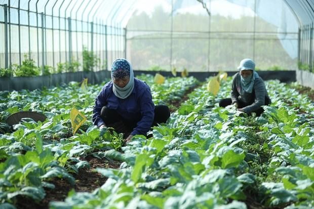Tạo đột phá để nông nghiệp Hà Nội tăng trưởng bền vững
