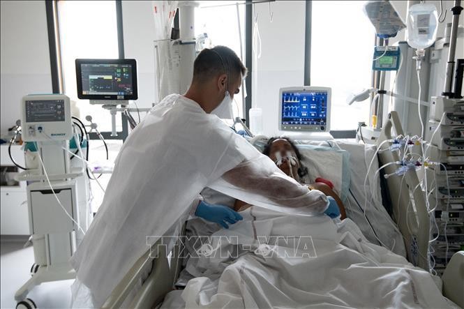 Nhân viên y tế điều trị cho bệnh nhân COVID-19 tại một bệnh viện ở Fort-de-France thuộc đảo Martinique của Pháp ngày 29/8/2021. Ảnh: AFP/TTXVN