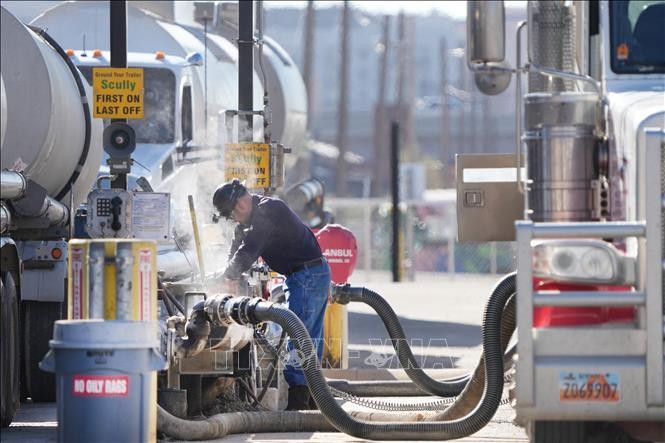 Xe tải chở dầu thô tới nhà máy lọc dầu ở Mỹ. Ảnh: AFP/TTXVN