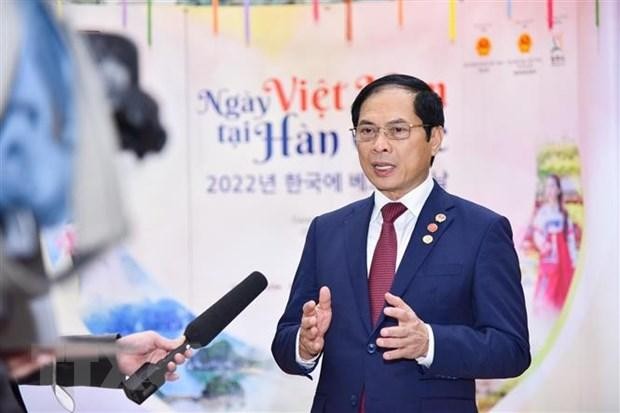 Bộ trưởng Ngoại giao Bùi Thanh Sơn trả lời phỏng vấn. (Ảnh: TTXVN/phát)