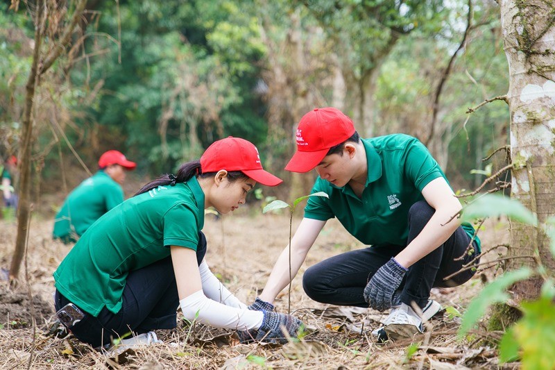 Nestlé Việt Nam cùng người tiêu dùng trải nghiệm hoạt động trồng rừng tại Vườn Quốc Gia Cúc Phương.