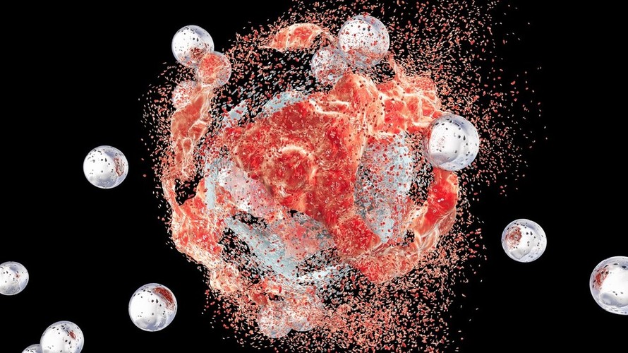 Vũ khí chính trong phương pháp điều trị này là là hạt Nano-pPAAM. Ảnh minh họa - Getty Images