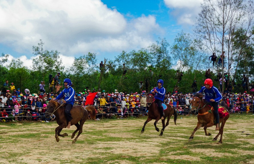 Đầu năm hào hứng đua ngựa tại Gò Thì Thùng ở Phú Yên