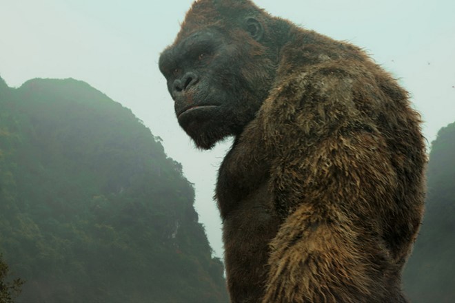 Bom tấn Kong: Skull Island liên tục xô đổ các kỷ lục phòng vé tại thị trường Việt Nam chỉ sau một tuần có mặt. Ảnh: Warner Bros.