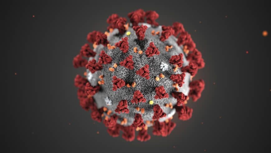 Các chủng cũ của virus corona có thể tồn tại ngoài vật chủ tới 9 ngày