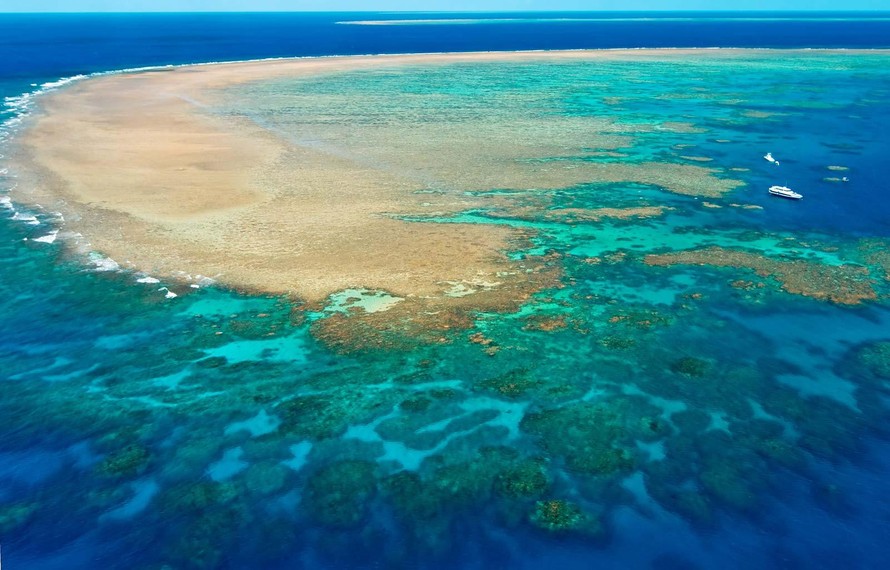 Australia quyết tâm bảo vệ rạn san hô Great Barrier