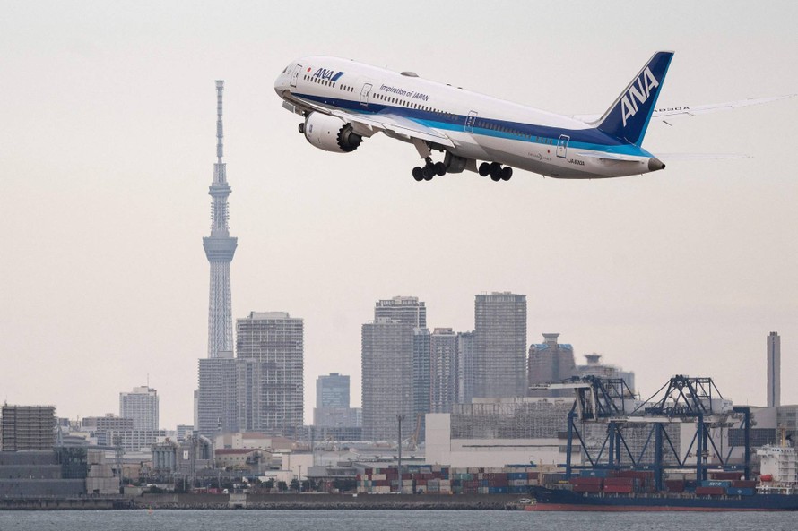 Nhật Bản sản xuất nhiên liệu cho máy bay từ gỗ rừng