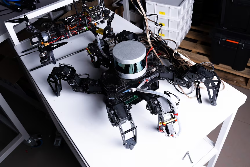 Chế tạo robot có não dựa trên đặc tính của côn trùng