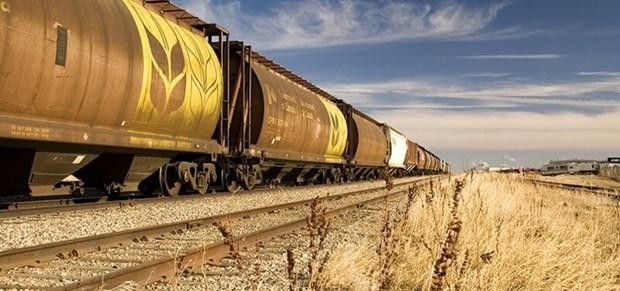 Ukraine xuất khẩu lô hàng ngũ cốc đầu tiên sang châu Âu bằng đường sắt