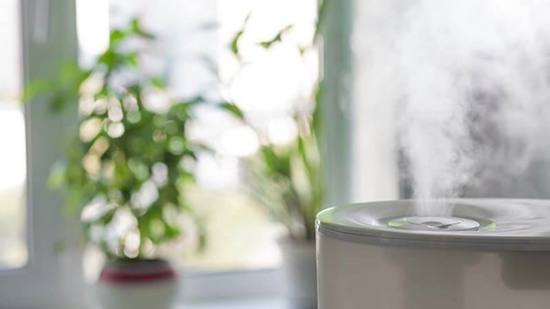 Mùi thơm nhân tạo ảnh hưởng đến chất lượng không khí trong nhà