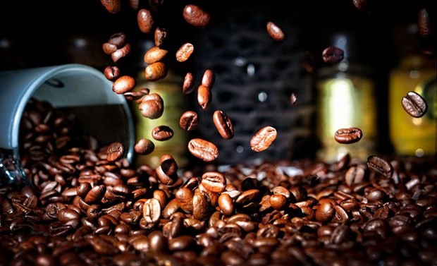 Hàn Quốc tăng mạnh nhập khẩu cà phê trong năm 2022
