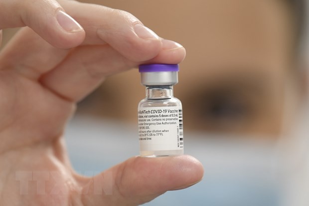Israel: Không phát hiện mối liên hệ giữa vaccine ngừa COVID-19 của Pfizer với các ca đột quỵ