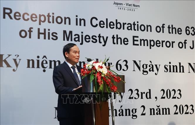 Phó Thủ tướng Trần Lưu Quang phát biểu chúc mừng. Ảnh: TTXVN