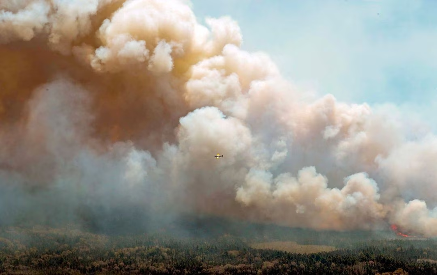 Cộng đồng quốc tế giúp Canada dập cháy rừng 
