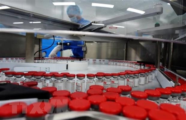Vắcxin Sputnik V ngừa COVID-19 được sản xuất tại Strelna, Nga. (Ảnh: AFP/TTXVN)