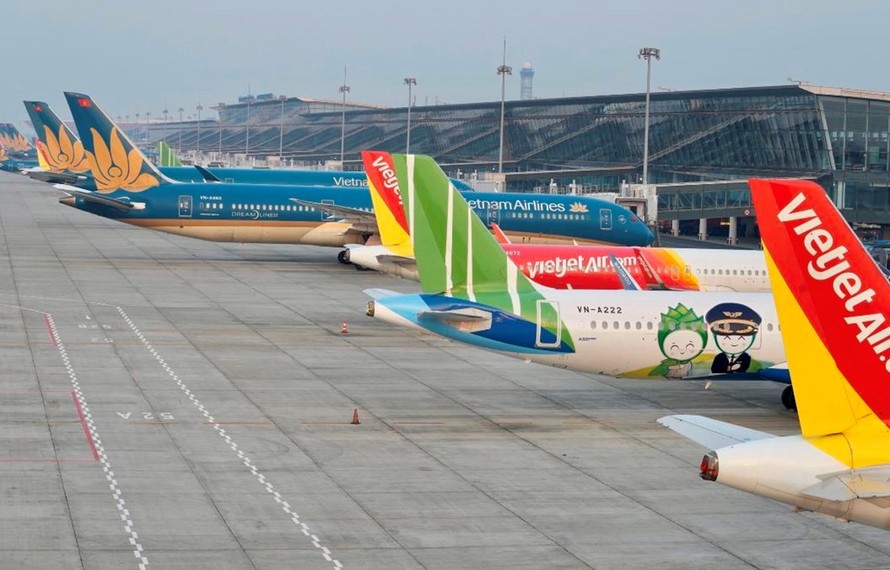 Máy bay của các hãng hàng không tại một sân bay.