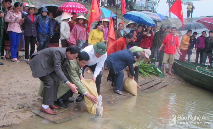 Lãnh đạo huyện Con Cuông và chính quyền địa phương tham gia thả cá xuống sông Giăng. 