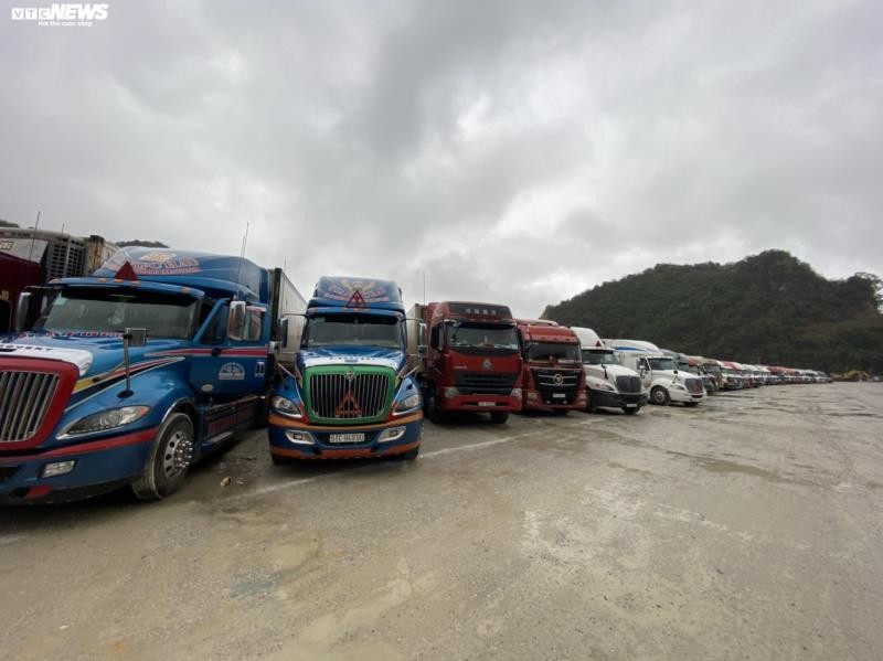 Hàng trăm xe container chở thanh long đang nằm chờ thông quan tại cửa khẩu Tân Thanh.
