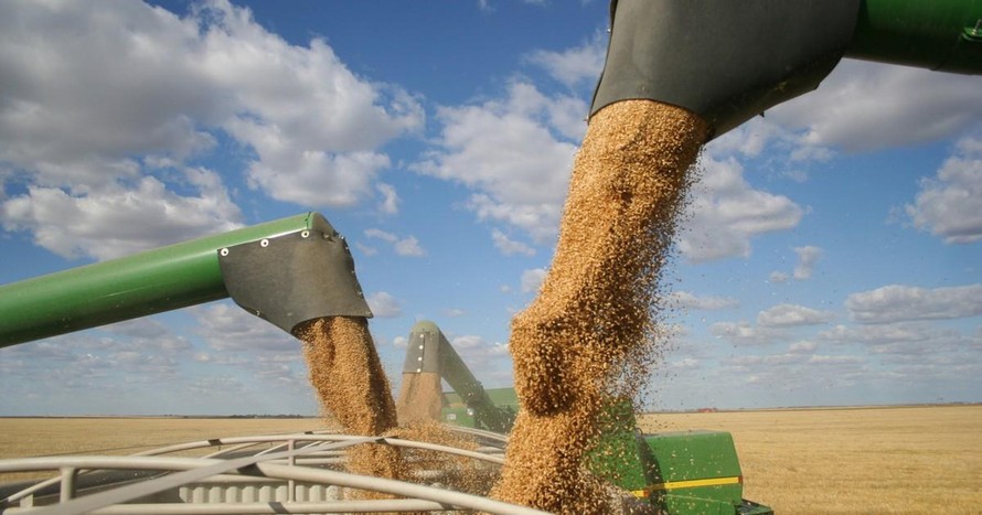 Belarus: Cho phép xuất khẩu ngũ cốc của Ukraine