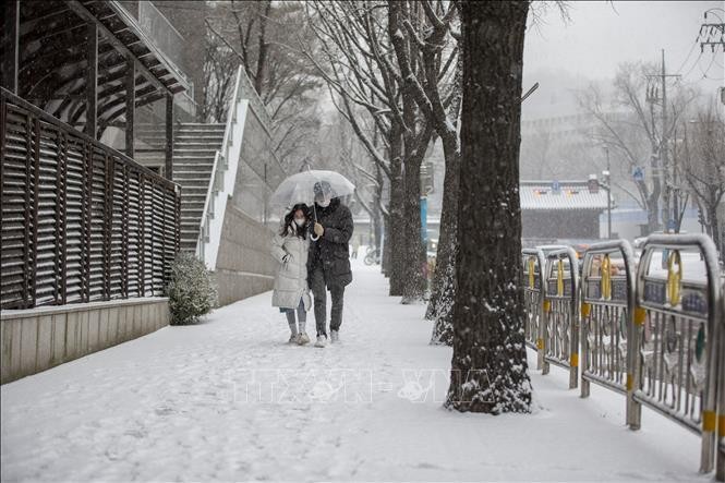 Hàn Quốc: Nâng mức cảnh báo thiên tai do tuyết rơi dày