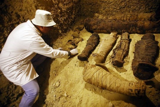 Phát lộ hàng trăm xác ướp động vật từ thời kỳ Ptolemaic