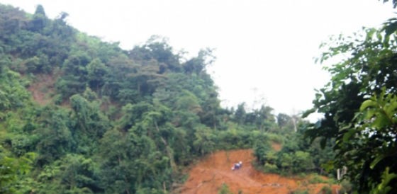 Rừng Điện Biên bị 'cạo trọc': Quản lý dân di cư phá rừng là quá sức