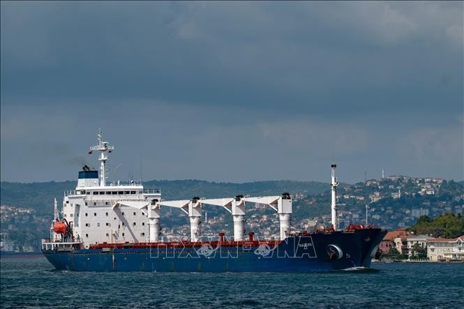 Tàu chở ngũ cốc từ Ukraine di chuyển dọc Eo biển Bosphorus ở Istanbul, Thổ Nhĩ Kỳ, ngày 3/8/2022. Ảnh: AFP/TTXVN