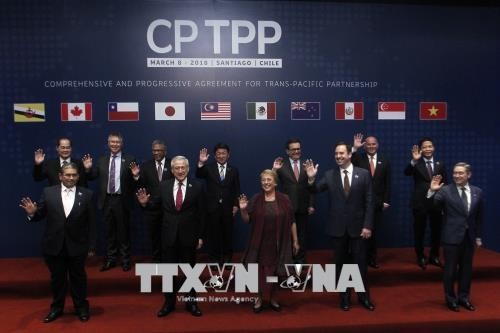 Đại diện các nước tham gia lễ ký Hiệp định CPTPP chụp ảnh chung tại Santiago ngày 8/3. Ảnh: AFP/TTXVN