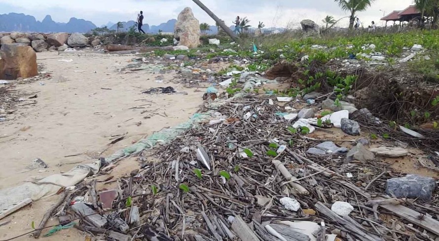  Rác thải tràn ngập bãi biển Tuần Châu