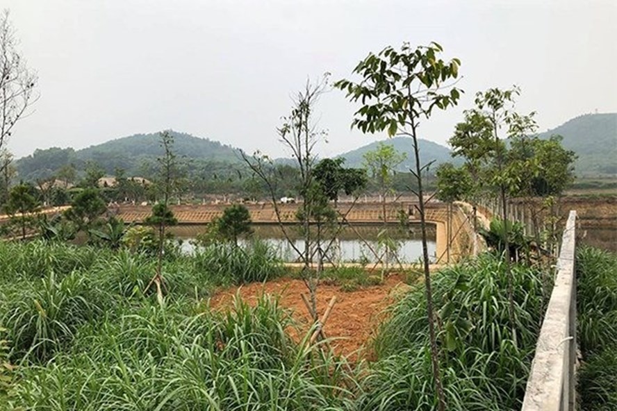 Nhiều khu đất nông lâm trường ở huyện Ba Vì bị xé lẻ làm trang trại