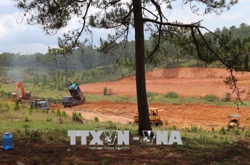San ủi đất để phục vụ sản xuất nông nghiệp công nghệ cao trên địa bàn xã Đa Nhim, huyện Lạc Dương. Ảnh: Nguyễn Dũng/TTXVN