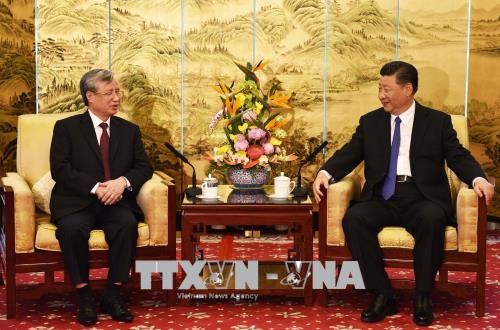 Tổng Bí thư, Chủ tịch nước Trung Quốc Tập Cận Bình tiếp thân mật đồng chí Trần Quốc Vượng. Ảnh TTXVN