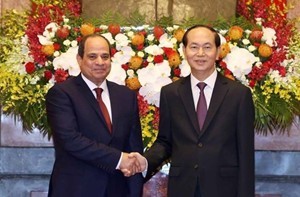 Tuyên bố chung Việt Nam-Ai Cập