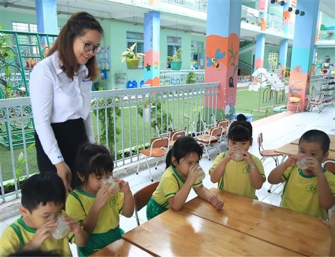 Sữa học đường là đề án được xây dựng với mục tiêu cải thiện tình trạng dinh dưỡng, góp phần nâng cao tầm vóc trẻ em mẫu giáo và học sinh tiểu học. Ảnh: TTXVN